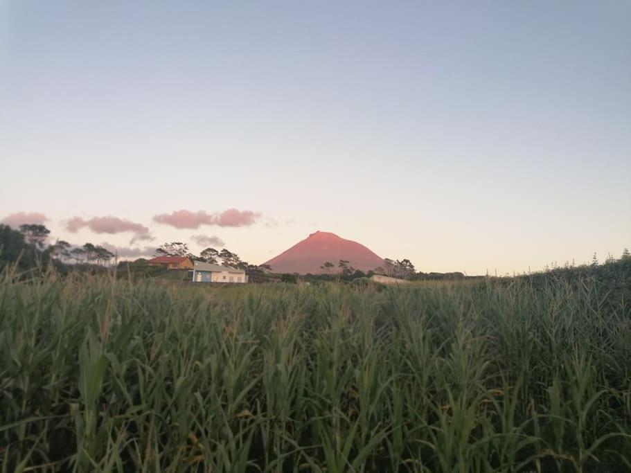 Dream View In Pico Villa Criacao Velha Exterior photo